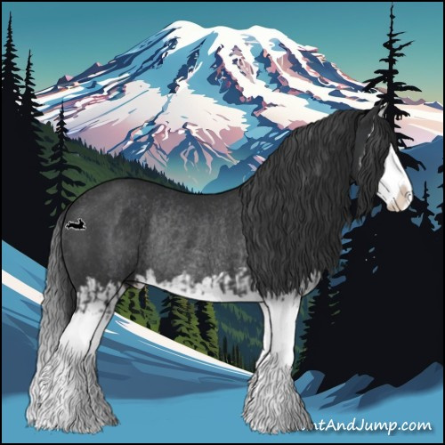 Horse Color:Black Splash Rabicano  and Black Splash Rabicano 