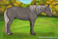 Horse Color:Silver Black 