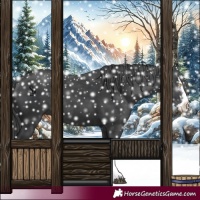 Horse Color:Black Splash Rabicano  and Black Splash Rabicano 