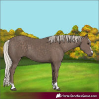 Horse Color:Silver Black 