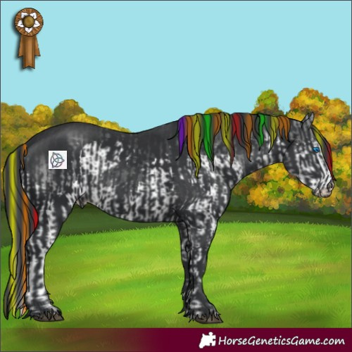 Horse Color:Painted Black Splash Rabicano  and Painted Black Rabicano 