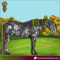 Horse Color:Painted Black Splash Rabicano  and Painted Black Rabicano 