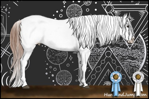 Horse Color:Black Splash Frame Appaloosa