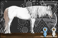 Horse Color:Black Splash Frame Appaloosa