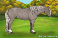 Horse Color:Silver Blue Roan Sabino