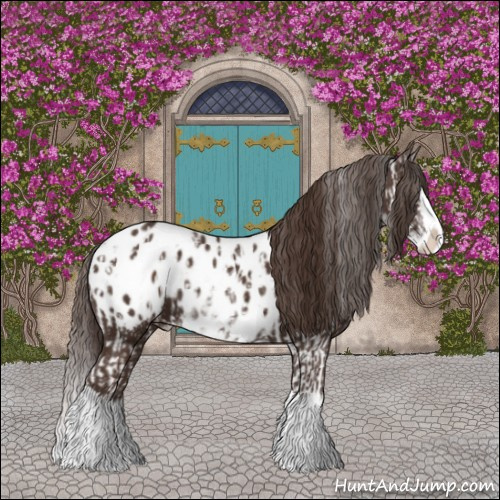 Horse Color:Liver Chestnut Sabino Splash Appaloosa  and Liver Chestnut Sabino Splash Appaloosa 
