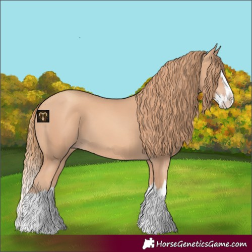 Horse Color:Gold Champagne Splash 