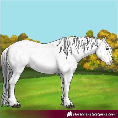 Horse Color:Brown Dun Mushroom Sabino 