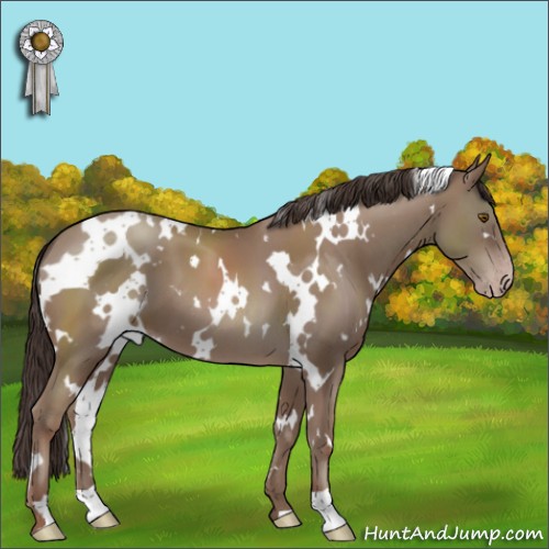 Horse Color:White Spotted Classic Champagne 
