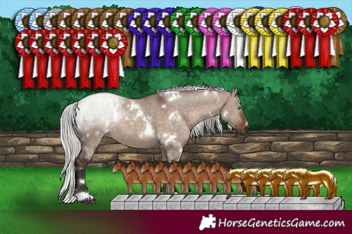 Horse Color:White Spotted Silver Bay Dun Mushroom 