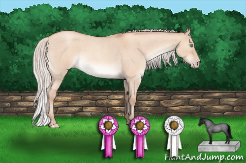 Horse Color:Silver Sable Champagne Roan Dun Sabino Rabicano 
