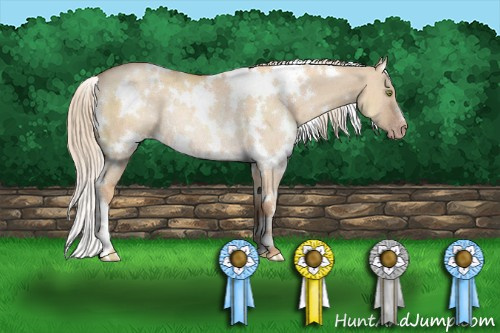 Horse Color:White Spotted Gold Champagne Dun Rabicano 