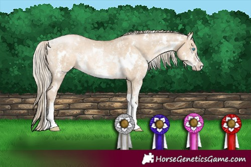 Horse Color:White Spotted Chocolate Palomino Pearl Dun Sabino Rabicano 