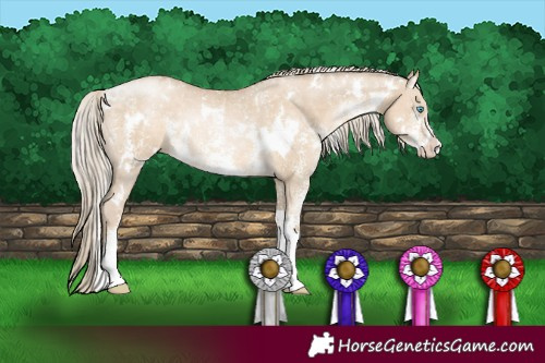 Horse Color:White Spotted Chocolate Palomino Pearl Dun Sabino Rabicano 