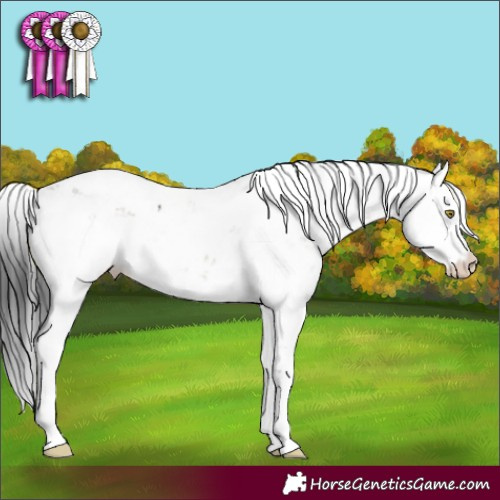 Horse Color:Brown Dun Sabino 
