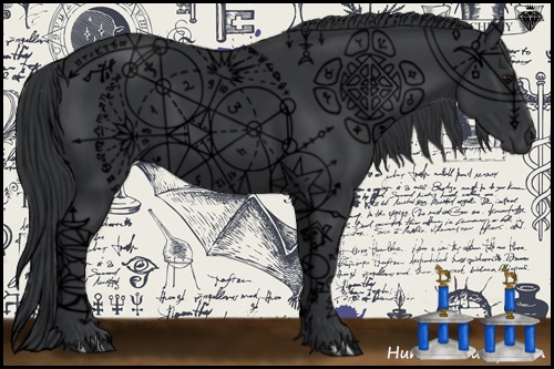 Horse Color:Black 