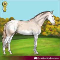 Horse Color:Red Dun Splash Varnish 