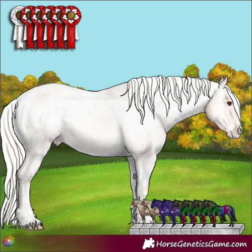 Horse Color:Silver Amber Champagne Onyx Appaloosa 