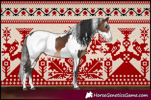 Horse Color:Brown Sabino  and Gray Black Sabino Appaloosa Rabicano 