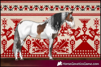 Horse Color:Brown Sabino  and Gray Black Sabino Appaloosa Rabicano 