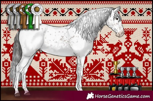Horse Color:Silver Brown Sabino Appaloosa Rabicano  and Brown Sabino Appaloosa 