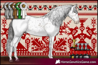 Horse Color:Silver Brown Sabino Appaloosa Rabicano  and Brown Sabino Appaloosa 