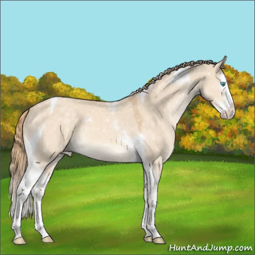 Horse Color:Perlino Dun Splash Tobiano Appaloosa 
