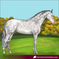 Horse Color:Brown Dun Mushroom Tobiano Snowcap 