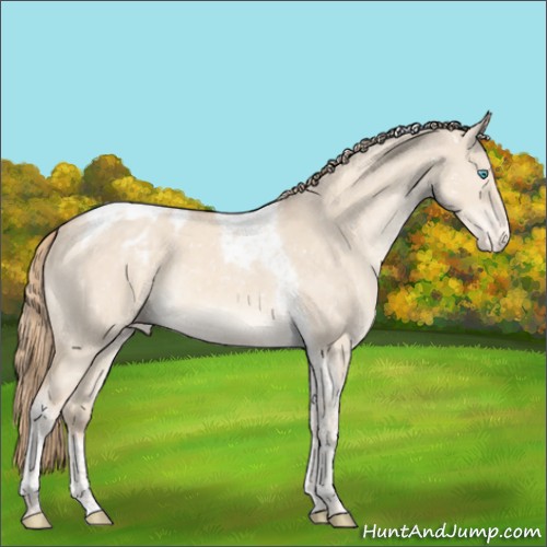 Horse Color:Perlino Dun Mushroom Tobiano Appaloosa 