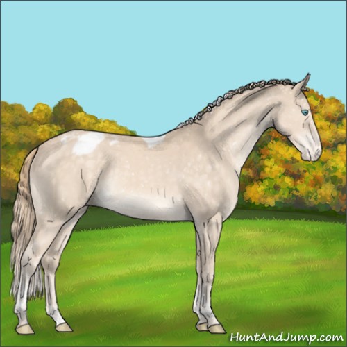 Horse Color:Perlino Mushroom Tobiano Blanket Rabicano 