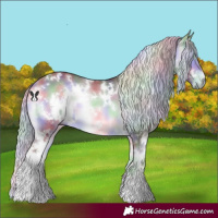 Horse Color:Nacre White Spotted Chocolate Silver Bay Chinchilla Onyx 