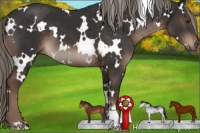 Horse Color:White Spotted Liver Chestnut Mushroom 