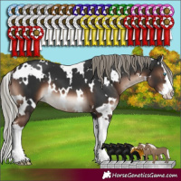 Horse Color:White Spotted Liver Chestnut Mushroom Splash