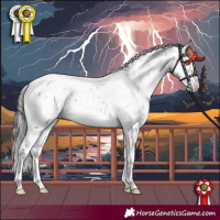 Horse Color:Brown Dun Mushroom Tobiano Appaloosa