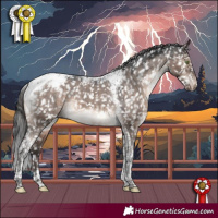 Horse Color:Brown Dun Mushroom Tobiano Appaloosa 