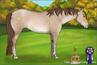 Horse Color:Brown Pearl Dun Tobiano Rabicano Brindle