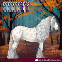 Horse Color:Smoky Creme Dun Sabino Tobiano Blanket 