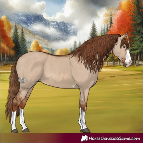 Horse Color:Red Dun 