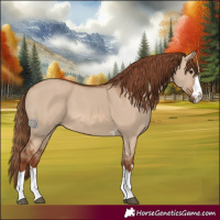 Horse Color:Red Dun 