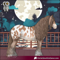 Horse Color:Brown Pearl Sabino Tobiano Near Leopard 