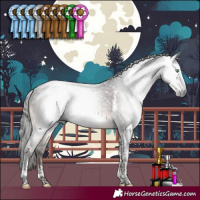 Horse Color:Gray Brown Mushroom Sabino Tobiano 