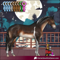 Horse Color:Gray Brown Mushroom Sabino Tobiano 