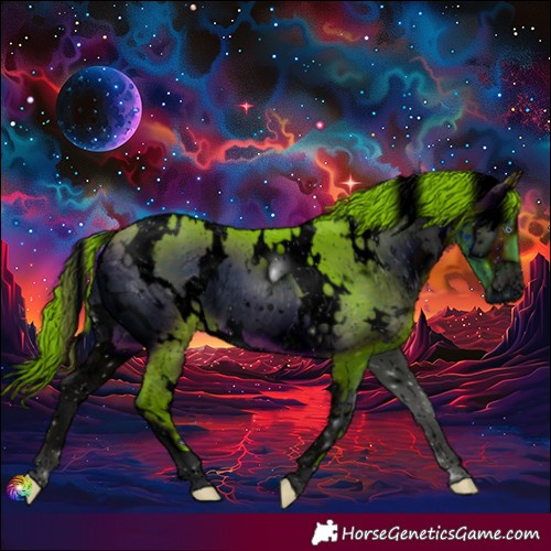 Horse Color:ERROR: UNKNOWN ANOMALY