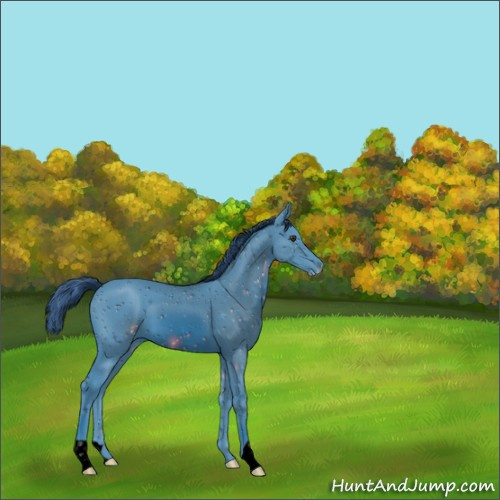 Horse Color:ERROR: UNKNOWN ANOMALY