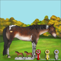 Horse Color:Bay Tobiano 