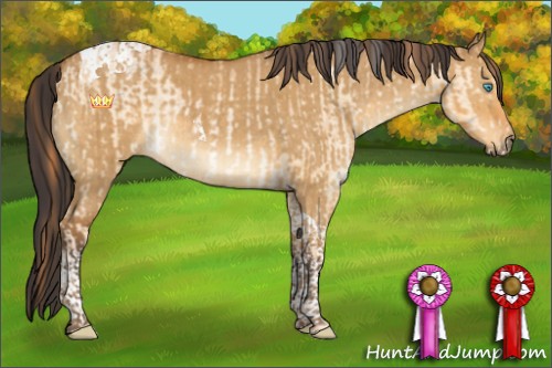 Horse Color:Buckskin Pearl Dun Tobiano Rabicano Brindle  and Buckskin Dun Tobiano Rabicano Brindle 