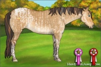 Horse Color:Buckskin Pearl Dun Tobiano Rabicano Brindle  and Buckskin Dun Tobiano Rabicano Brindle 