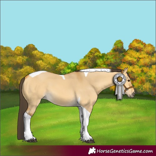 Horse Color:Buckskin Dun Tobiano 