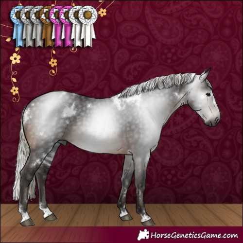 Horse Color:Gray White Spotted Silver Brown Rabicano 