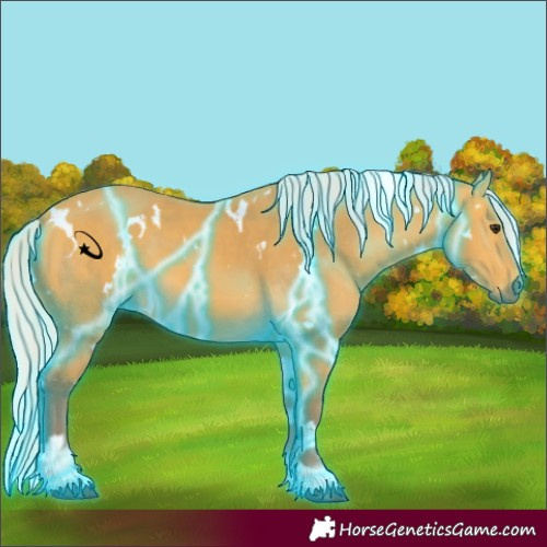 Horse Color:Thunderstruck White Spotted Silver Buckskin 